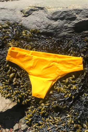 Salamander Bikini Bamba Bottom in Apricot | SALAMANDER